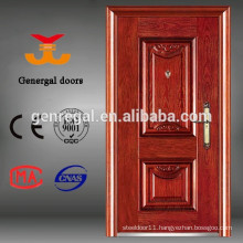 Housing apartment designs Exterior security iron door